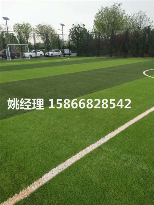 锡林郭勒盟足球场人造绿色草坪种类(内呼和浩特新材料)