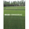 阿拉善盟新款人造草坪足球场验收(内蒙古巴彦淖尔建设公司)