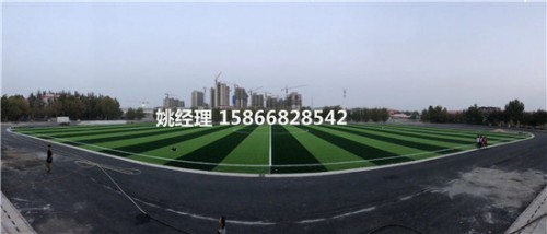 长治儿童足球场人造草坪生产销售基地(山西忻州场地新)