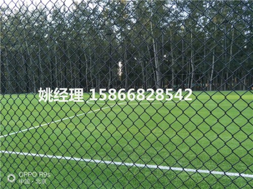 沧州高端足球场草坪特性博翔远人造草坪公司(内呼和浩特建设公司)