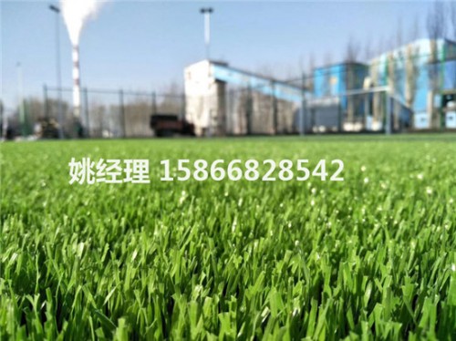沧州足球场地塑料草坪销售商(内呼和浩特验收)