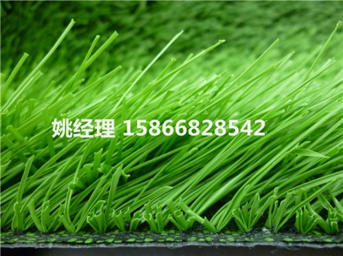 赤峰足球场铺草坪专业生产厂(内锡林郭勒盟2019新国标)
