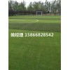 赤峰足球场塑料草坪价格表售后(河北沧州建设公司)