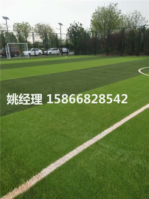 鄂尔多斯室外人工草坪足球场免费设计(山西忻州验收)