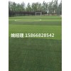 运城足球场专用人工草坪技术参数(山西忻州场地新标准)