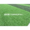 邯郸600平方足球场草坪铺装步骤(山西阳泉2019新国标)
