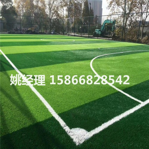 忻州人造足球场草坪单位有哪些(河北石家庄验收)