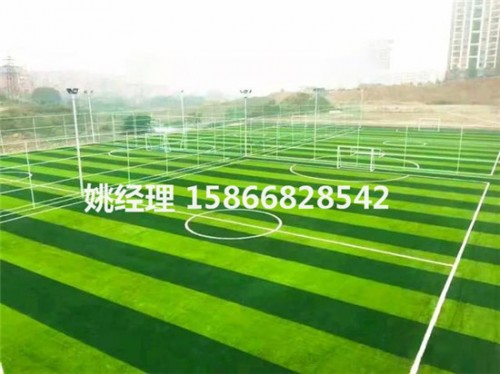乌兰察布五人制足球场是单色双色草坪欢迎来电(山西忻州2019新国标)