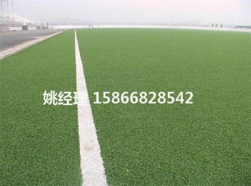 忻州体育草坪足球场技术服务(河北保定建设公司)