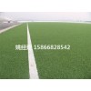 阳泉专业草坪足球场使用(内蒙古包头建设公司)