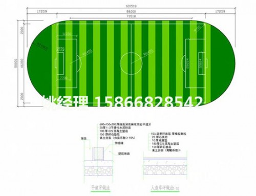 沧州体育场草坪价格加工(内乌海2019新国标)