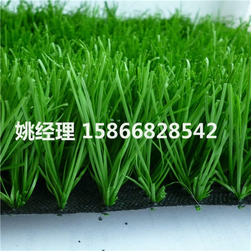 忻州足球场绿草坪材料规格(内阿拉善盟场地新)