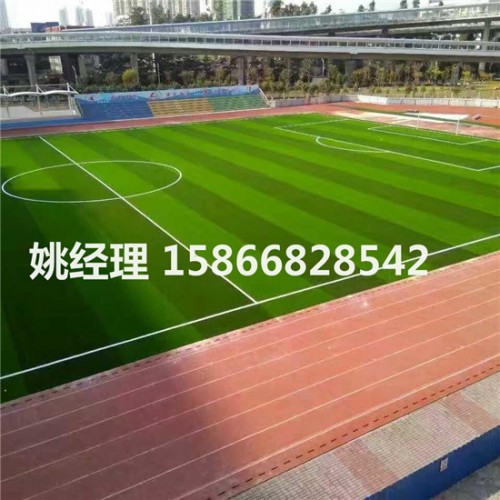 忻州假草皮足球场比赛用文明施工(内锡林郭勒盟2019新国标)