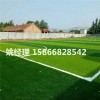 忻州足球草坪单价批发销售(内蒙古呼和浩特场地新标准)