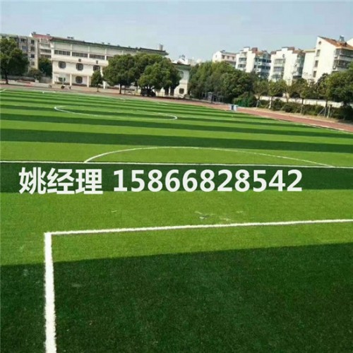 沧州室外人工草坪足球场-需要多少钱(河北衡水新材料)