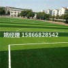 锡林郭勒盟学校足球场人造草坪日常维修(河北廊坊验收标准)