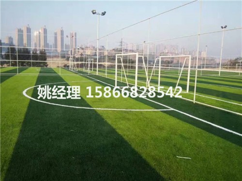 邯郸600方足球场草坪铺装步骤(山西阳泉2019新国标)