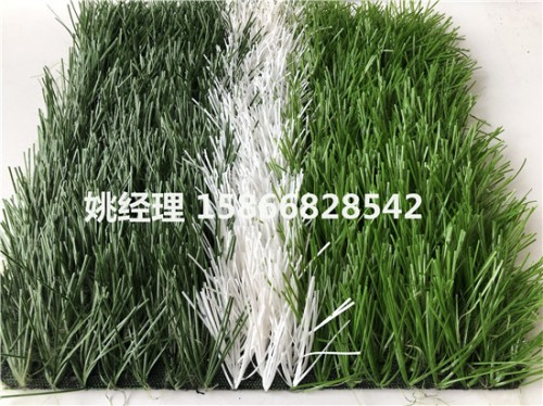 兴安盟人造草坪笼式足球场生产厂家图文(内阿拉善盟环保要求)