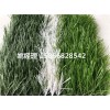 唐山足球场地塑料草坪生产商(山西忻州验收标准)