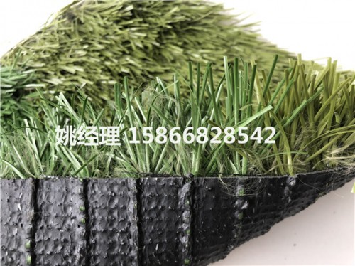 唐山足球场专用草坪草种CAD详图(内锡林郭勒盟验收)