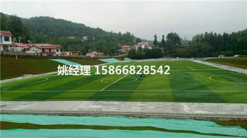 忻州新型足球场草坪当地有售(山西临汾环保要求)