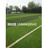 承德草坪足球场地材料规格(内蒙古赤峰新国际材料)