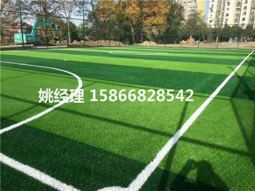 衡水小型足球场人工草坪深度解析(内呼伦贝尔环保要求)