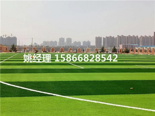 忻州5人制人工草坪足球场信誉保证(内包头新材料)