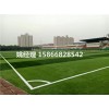 唐山专业人造足球场草坪多少钱每平方米(河北唐山新国际材料)