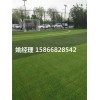 忻州五人制足球场是单色双色草坪供应1-3厘米(河北邢台环保要求)