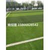 邯郸室外人工草坪足球场分类特性(河北承德环保要求)