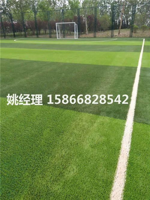 衡水小型足球场人工草坪深度解析(内呼伦贝尔环保要求)