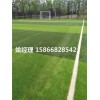 呼和浩特建人造草坪足球场品牌厂家(河北沧州场地新标准)