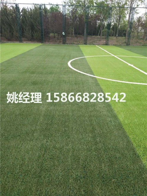 呼伦贝尔学校操场足球场地是草坪密度高(山西忻州新材料)