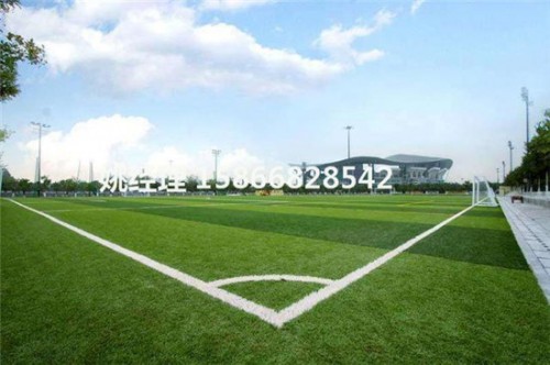 衡水创意足球场草坪专业铺设(内乌海环保要求)