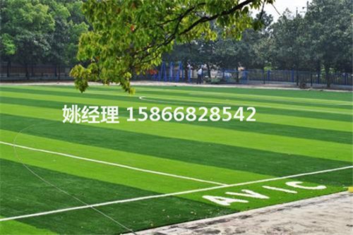 朔州学校足球场人造草坪专业承建(内鄂尔多斯场地新)