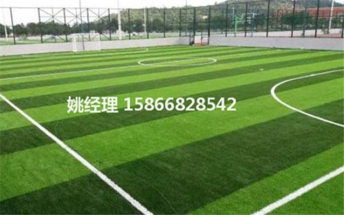 唐山足球场专用草坪草种CAD详图(内锡林郭勒盟验收)