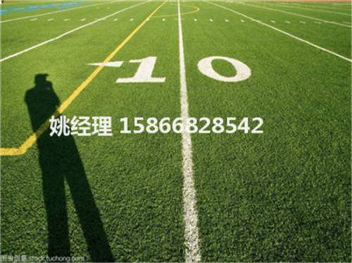 忻州卖足球场地草坪常规规格(河北邯郸2019新国标)