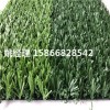 忻州加密加厚足球场草坪安装简单(内蒙古兴安盟场地新标准)