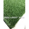 忻州生态足球场草坪价格低(山西临汾建设公司)