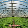 新闻:安徽智能农业温室大棚物联网方案报价 平台软件远程控制采