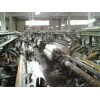 今日：丹阳化工厂设备拆除回收（今日报价资讯）