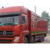 上海到滨州冷冻货运公司|冷藏运输|牛肉运输