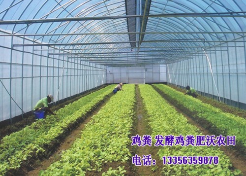 新闻:通辽晾晒鸡粪增加农产品口感