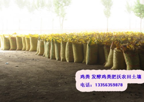 新闻:邯郸晾晒鸡粪生产基地