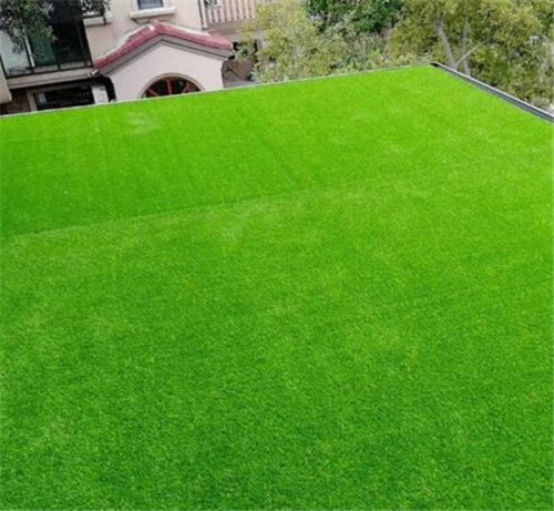新闻：绿草皮围挡假草坪为城建设穿绿衣-西安
