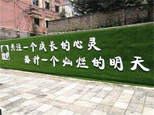 淄博项目绿植围挡假草坪专业铺设公司