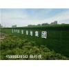 供应:黄冈环保草坪布售楼处墙