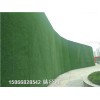 九江人工草皮房地产工程墙面广告牌草皮公司有哪些