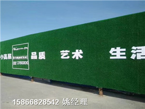 山东青岛市建筑草坪毯挡墙-人工草皮价格极低